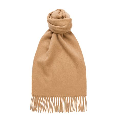 camel cashmere scarf.